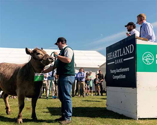 Heartland branding on the Young Auctioneer of the Year stage, Canterbury A&P show