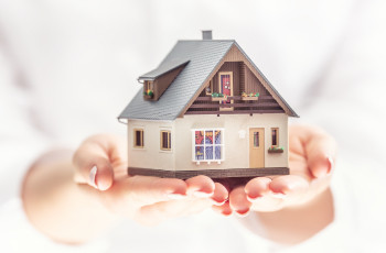Equity protection option
